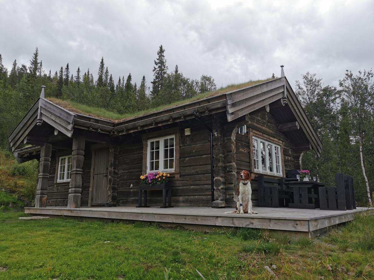 Liaplassen Fjellhytte Beitostolen ภายนอก รูปภาพ
